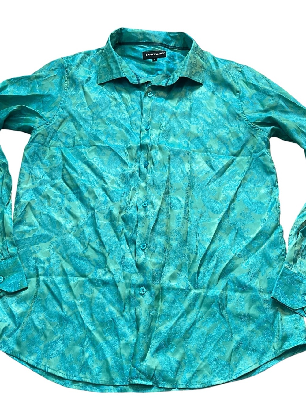 Barry Wang Mens Turquoise Paisley Button-Up Dress Shirt Size Large